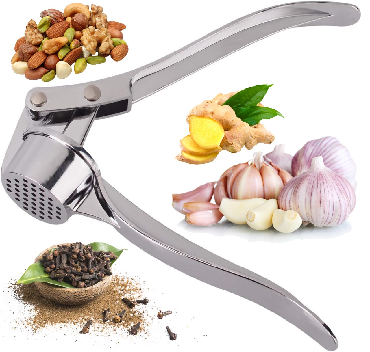 هراسة ثوم استنالس استيل لوكس