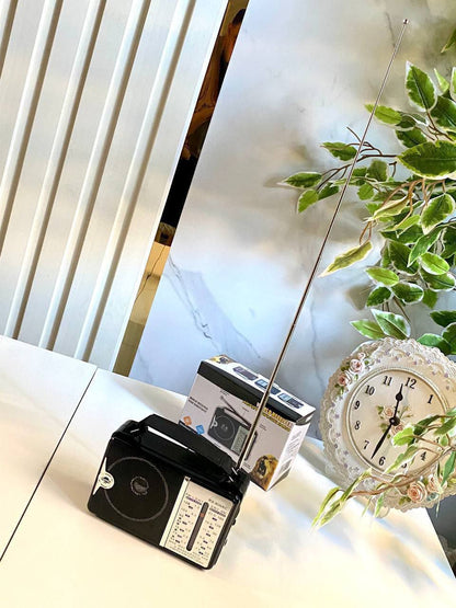 راديو – نقاء صوت استثنائي وراحة بال تدوم